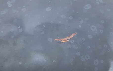 Citroen C4 II рестайлинг, 2010 год, 230 000 рублей, 9 фотография