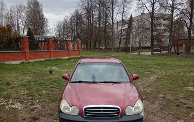 Hyundai Sonata IV рестайлинг, 2004 год, 173 000 рублей, 1 фотография