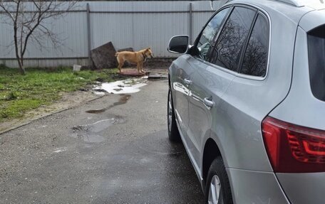 Audi Q5, 2010 год, 1 350 000 рублей, 6 фотография
