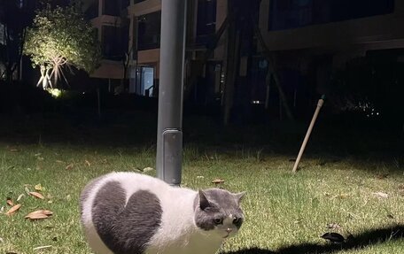 Mazda 626, 1994 год, 400 000 рублей, 10 фотография