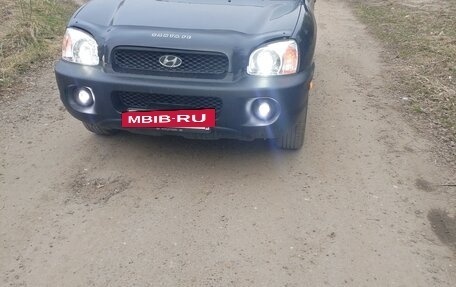 Hyundai Santa Fe III рестайлинг, 2003 год, 550 000 рублей, 19 фотография