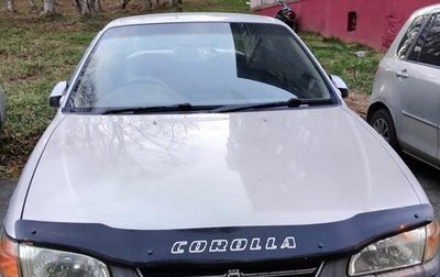 Toyota Corolla, 1997 год, 300 000 рублей, 1 фотография