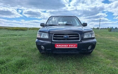 Subaru Forester, 2003 год, 350 000 рублей, 1 фотография