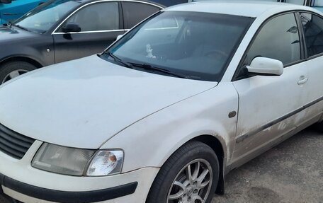 Volkswagen Passat B5+ рестайлинг, 1999 год, 280 000 рублей, 2 фотография