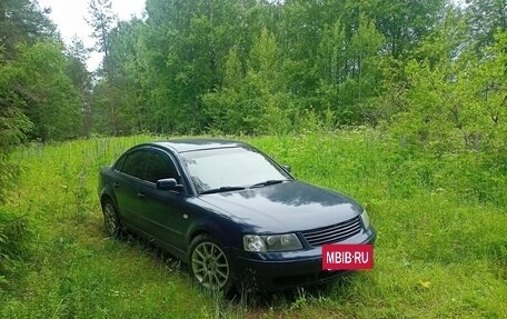 Volkswagen Passat B5+ рестайлинг, 1996 год, 380 000 рублей, 15 фотография