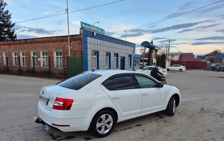 Skoda Octavia, 2019 год, 1 700 000 рублей, 8 фотография