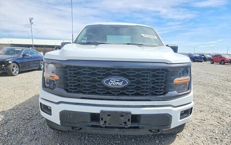 Ford F-150, 2024 год, 3 900 000 рублей, 5 фотография
