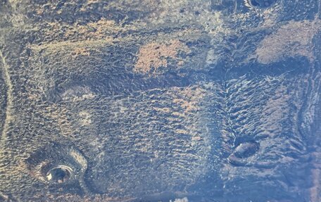 Chevrolet Niva I рестайлинг, 2011 год, 600 000 рублей, 29 фотография