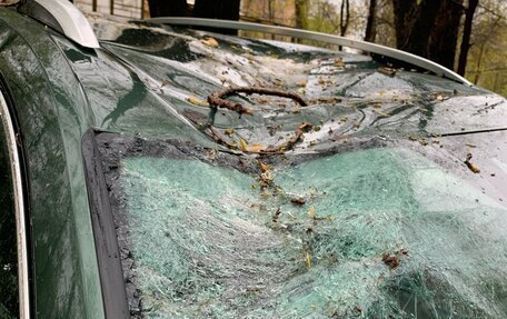 Skoda Kodiaq I, 2020 год, 2 699 000 рублей, 7 фотография