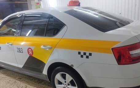 Skoda Octavia, 2019 год, 980 000 рублей, 14 фотография