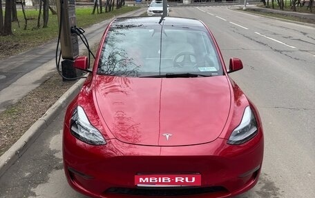 Tesla Model Y I, 2021 год, 3 900 000 рублей, 1 фотография