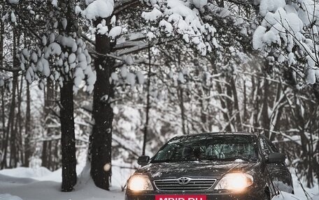 Toyota Corolla, 2006 год, 680 000 рублей, 31 фотография