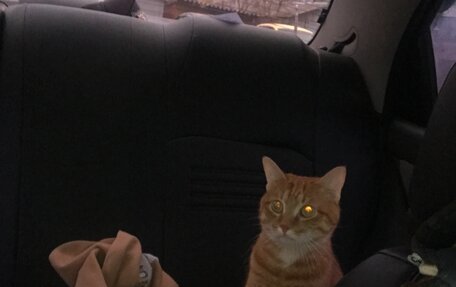 ЗАЗ Chance, 2009 год, 100 000 рублей, 4 фотография