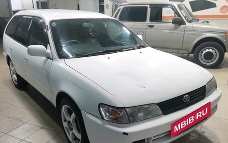 Toyota Corolla, 1999 год, 255 000 рублей, 2 фотография