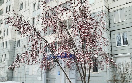 Renault Sandero I, 2013 год, 460 000 рублей, 2 фотография