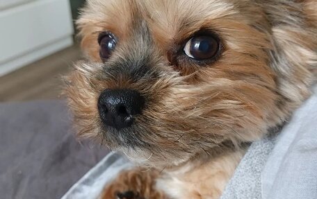 Chevrolet Lacetti, 2011 год, 800 000 рублей, 17 фотография