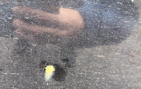 Chevrolet Aveo III, 2009 год, 420 000 рублей, 10 фотография