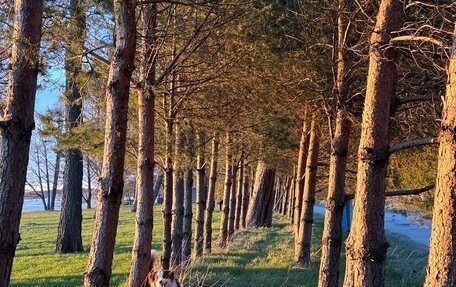 Skoda Octavia IV, 2007 год, 480 000 рублей, 7 фотография