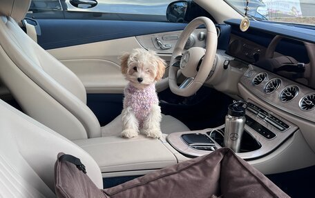 Mercedes-Benz E-Класс, 2021 год, 5 500 000 рублей, 14 фотография