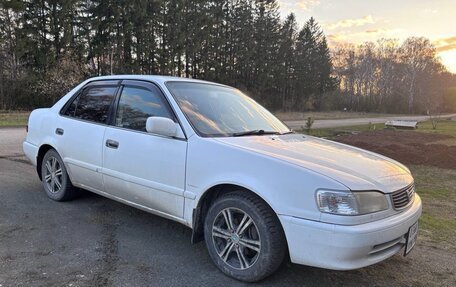 Toyota Corolla, 1999 год, 370 000 рублей, 2 фотография