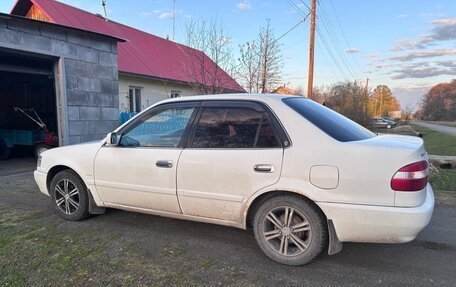 Toyota Corolla, 1999 год, 370 000 рублей, 5 фотография