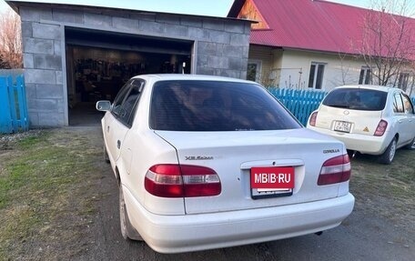 Toyota Corolla, 1999 год, 370 000 рублей, 4 фотография