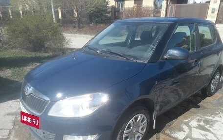 Skoda Fabia II, 2014 год, 750 000 рублей, 18 фотография