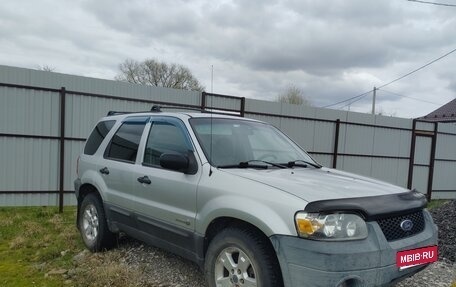 Ford Escape II, 2005 год, 600 000 рублей, 1 фотография