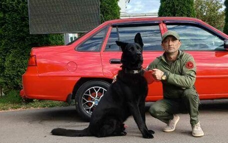 Daewoo Nexia I рестайлинг, 2010 год, 450 000 рублей, 1 фотография