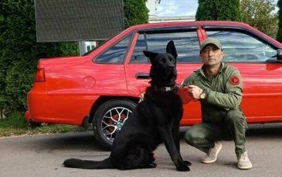 Daewoo Nexia I рестайлинг, 2010 год, 450 000 рублей, 1 фотография