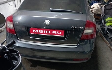 Skoda Octavia, 2010 год, 800 000 рублей, 1 фотография