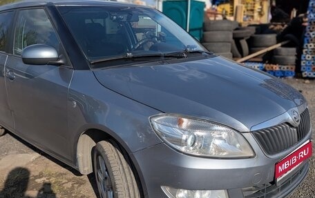 Skoda Fabia II, 2013 год, 600 000 рублей, 1 фотография