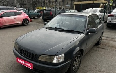 Toyota Corolla, 1998 год, 300 000 рублей, 1 фотография