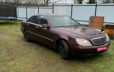 Mercedes-Benz S-Класс, 2001 год, 350 000 рублей, 1 фотография