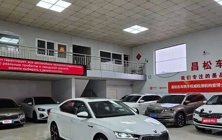 Skoda Octavia IV, 2024 год, 3 250 000 рублей, 1 фотография