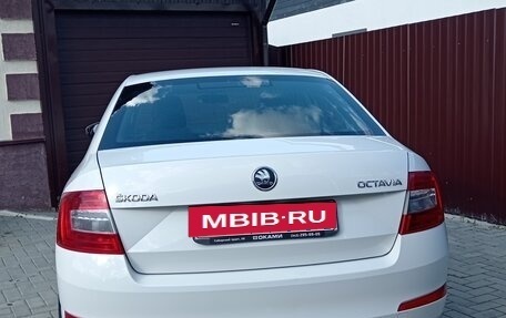 Skoda Octavia, 2013 год, 920 000 рублей, 5 фотография
