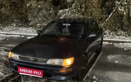 Toyota Corolla, 1994 год, 205 000 рублей, 3 фотография