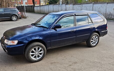 Toyota Corolla, 1999 год, 365 000 рублей, 20 фотография