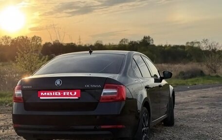 Skoda Octavia, 2017 год, 1 600 000 рублей, 3 фотография