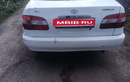 Toyota Corolla, 1999 год, 250 000 рублей, 5 фотография