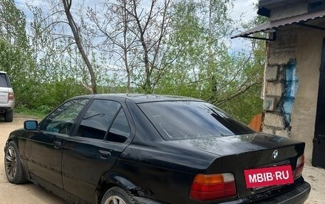BMW 3 серия, 1996 год, 230 000 рублей, 5 фотография
