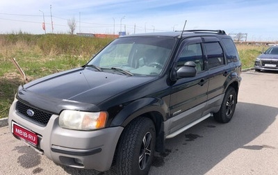 Ford Escape II, 2001 год, 390 000 рублей, 1 фотография