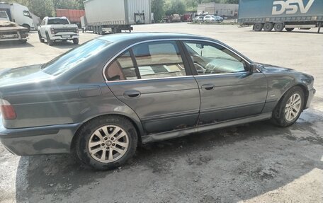 BMW 5 серия, 2001 год, 420 000 рублей, 3 фотография