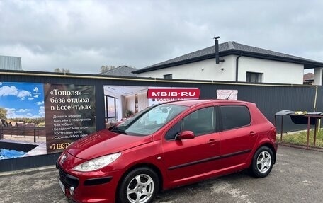Peugeot 307 I, 2006 год, 325 000 рублей, 1 фотография