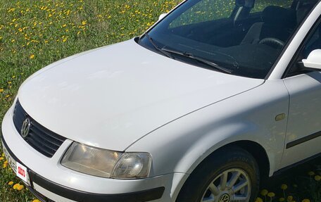 Volkswagen Passat B5+ рестайлинг, 1999 год, 240 000 рублей, 11 фотография