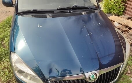 Skoda Fabia II, 2012 год, 520 000 рублей, 3 фотография