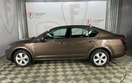Skoda Octavia, 2013 год, 1 200 000 рублей, 5 фотография
