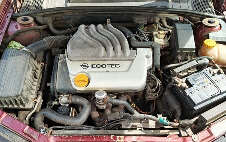 Opel Vectra B рестайлинг, 1998 год, 69 990 рублей, 10 фотография