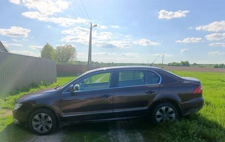 Skoda Superb III рестайлинг, 2010 год, 800 000 рублей, 4 фотография