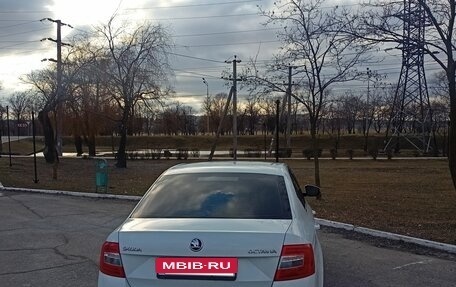 Skoda Octavia, 2016 год, 1 520 000 рублей, 3 фотография